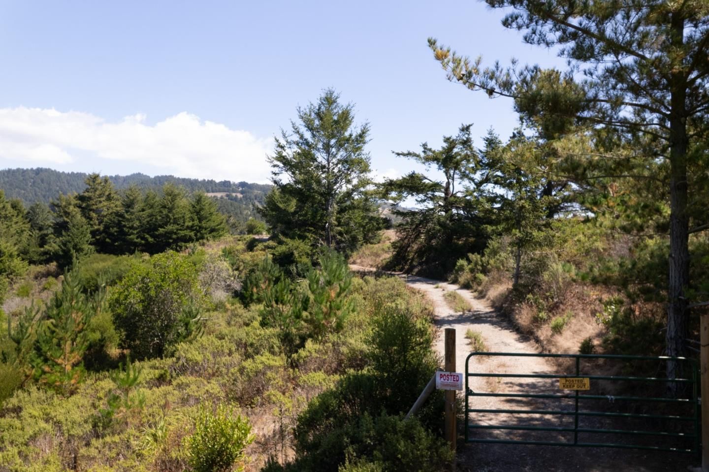 Lobitos Creek