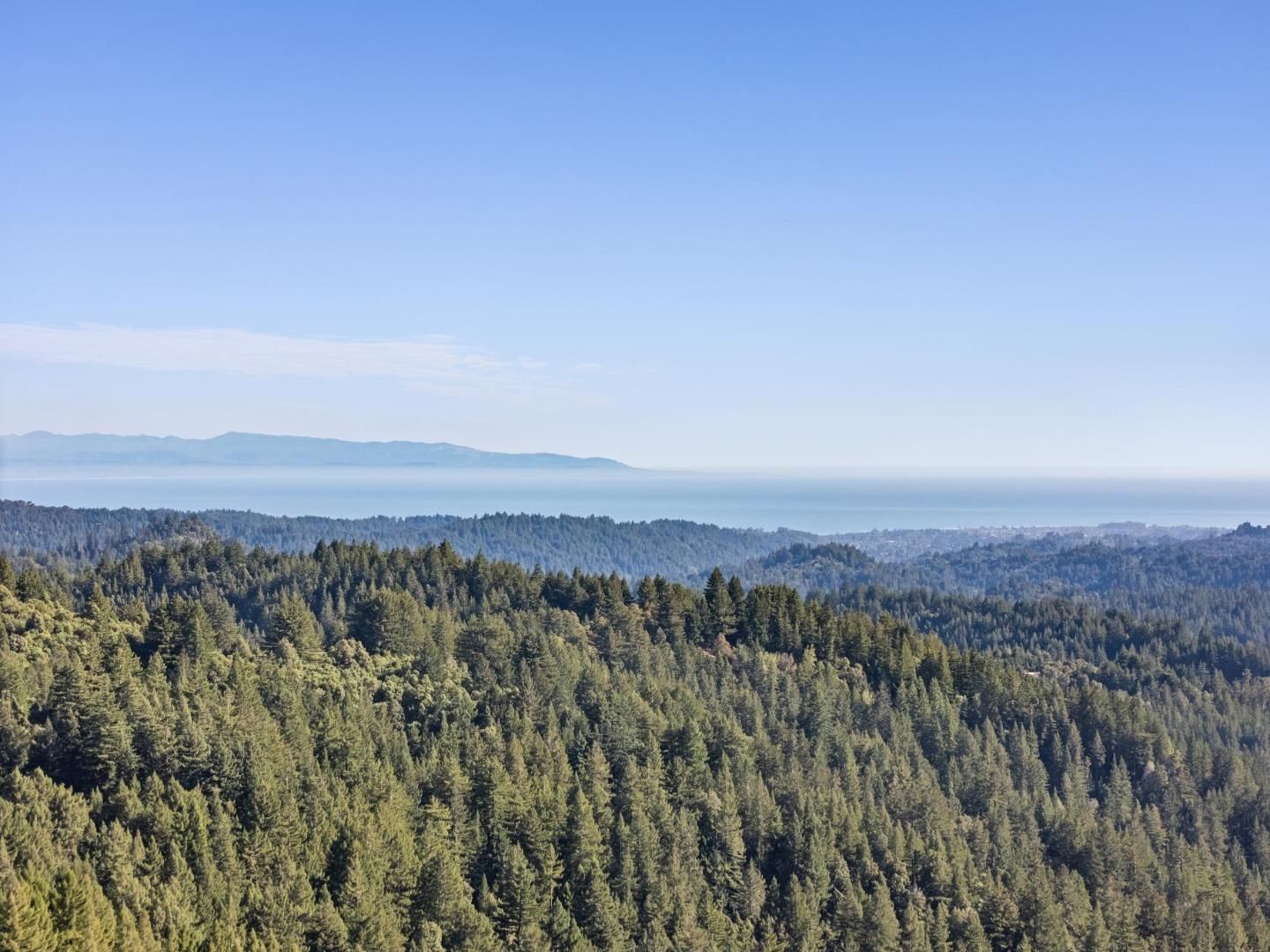 Ridge Top