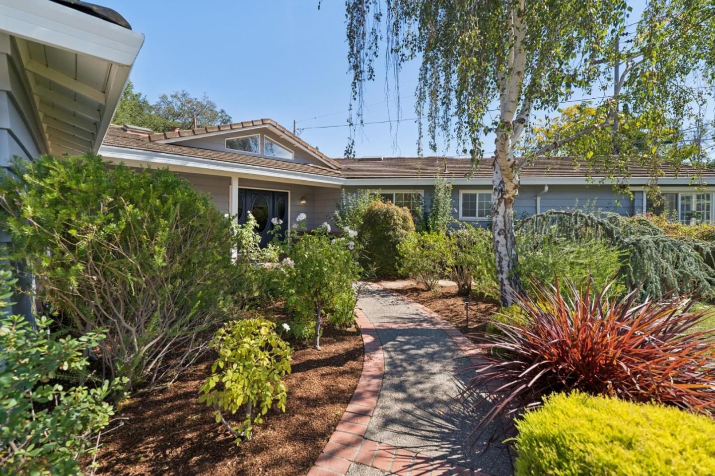 Cynthia