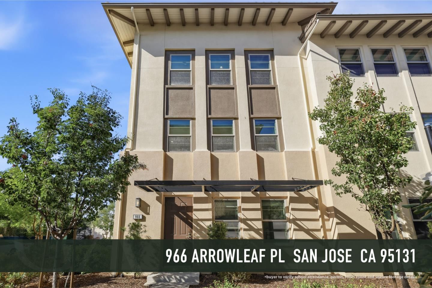 Arrowleaf
