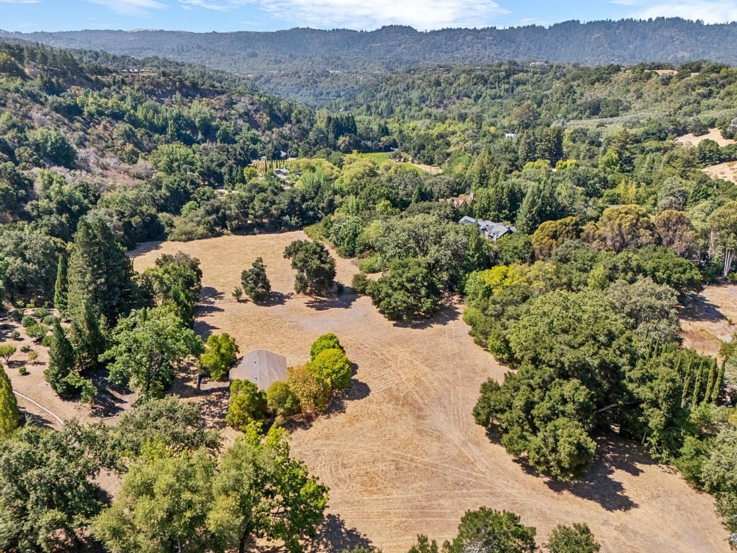Los Trancos Woods