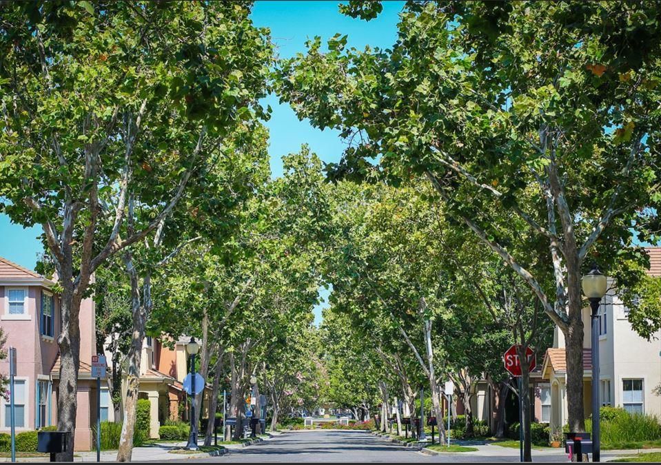 Whisman Park