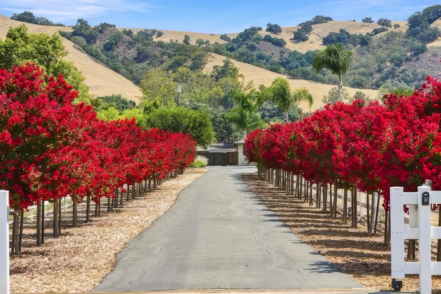 Foothill