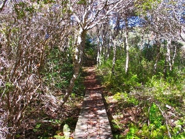 58 Forest Rd  Wt140 West Tisbury — Photo 27 of 29