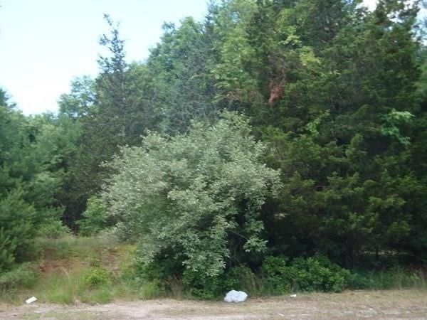 386 Wareham Street Middleboro — Photo 11 of 15