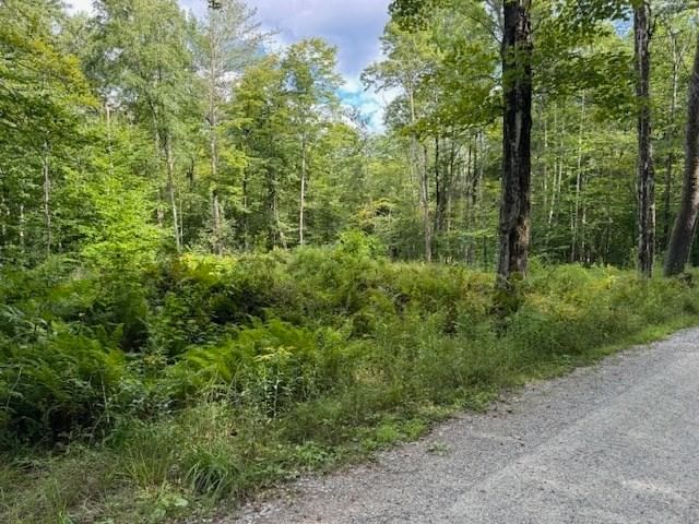Lot 119 Davis Mine Rd, Rowe, MA 01367 photo 2