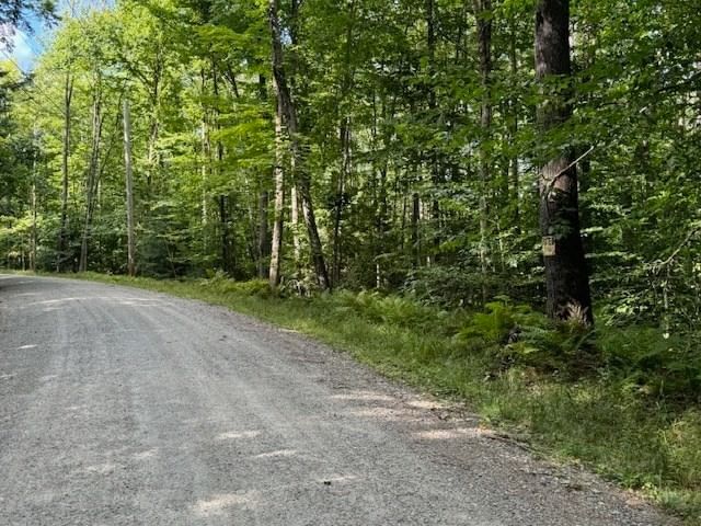Lot 119 Davis Mine Rd, Rowe, MA 01367 photo 3