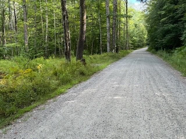 Lot 119 Davis Mine Rd, Rowe, MA 01367 photo 4