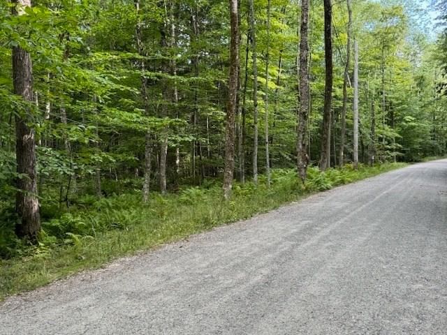 Lot 119 Davis Mine Rd, Rowe, MA 01367 photo 5