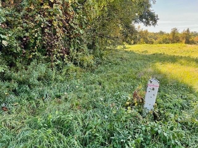 0 Long Plain Road, Whately, MA 01093 photo 5