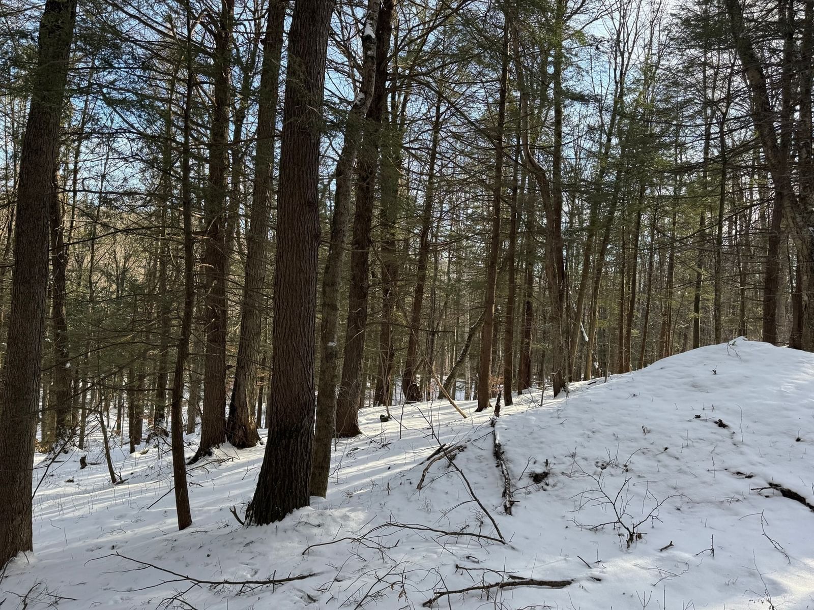 0 Tunnel Rd, Rowe, MA 01367 photo 3