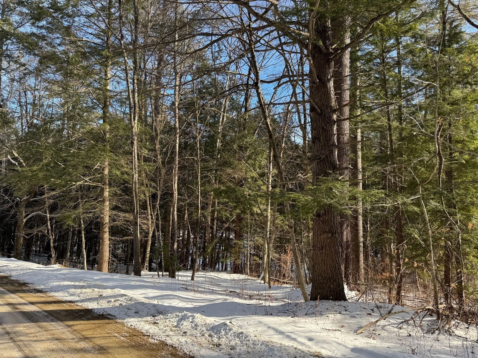 0 Tunnel Rd, Rowe, MA 01367 photo 4