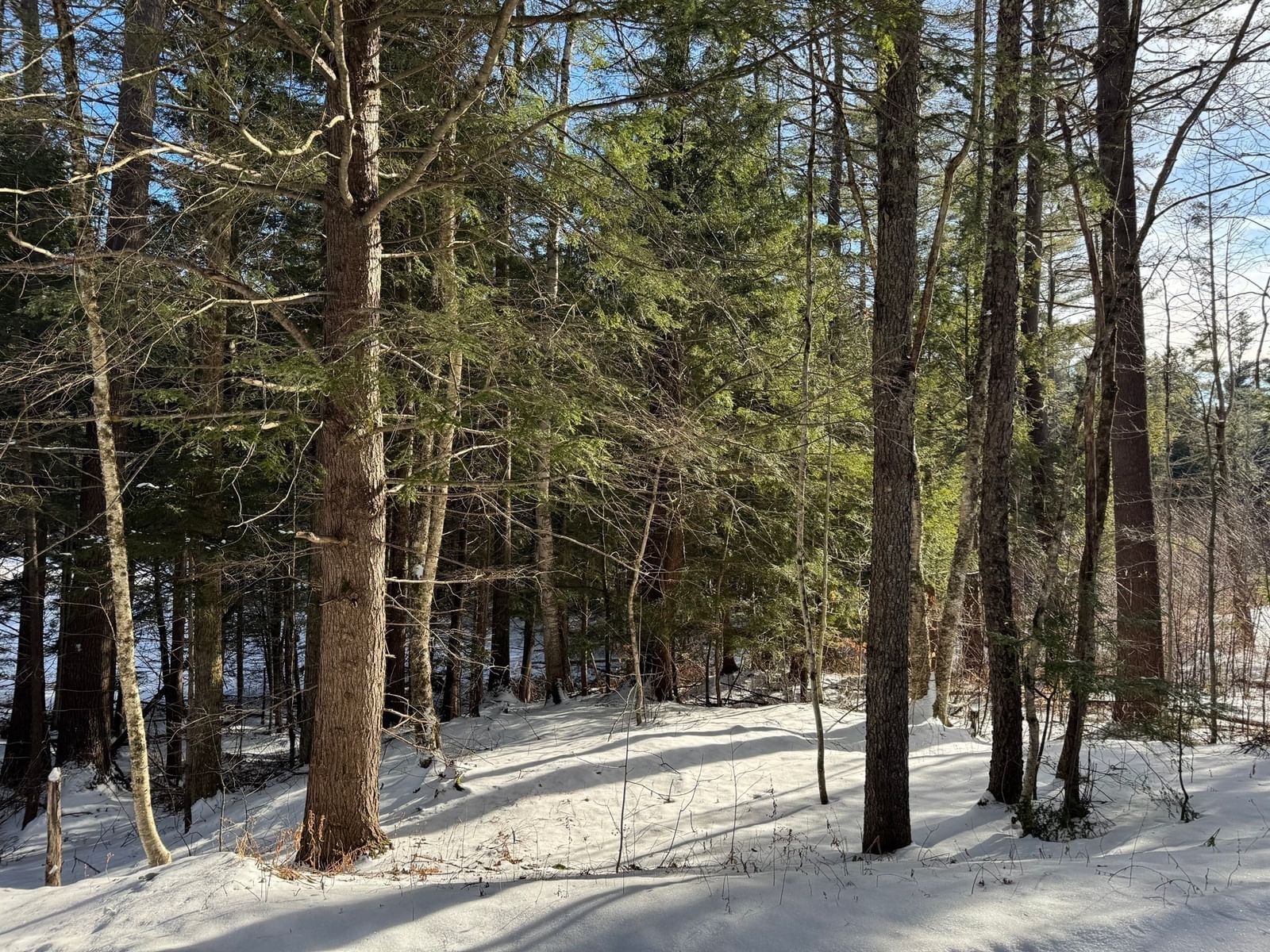 0 Tunnel Rd, Rowe, MA 01367 photo 5