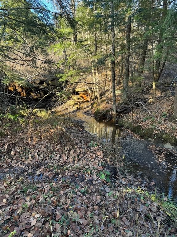 0 Stage Road, Cummington, MA 01026 photo 3