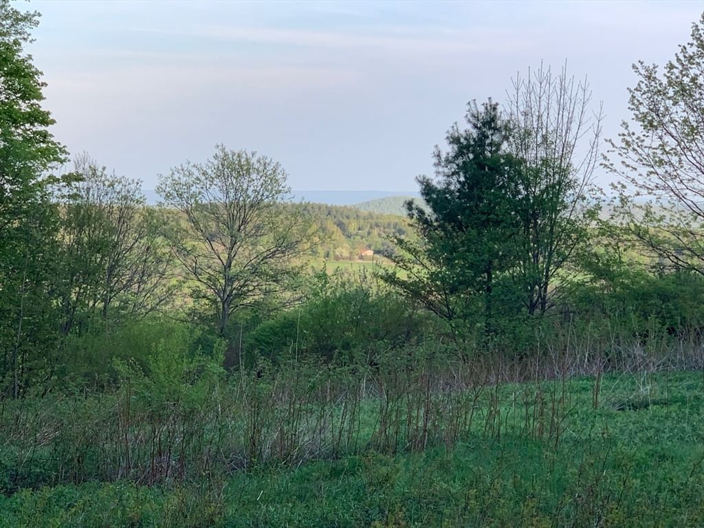0 Ed Clark Rd, Lot 61, Colrain, MA 01340 photo 2