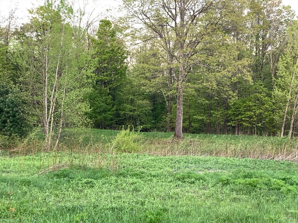 0 Ed Clark Rd, Lot 61, Colrain, MA 01340 photo 4