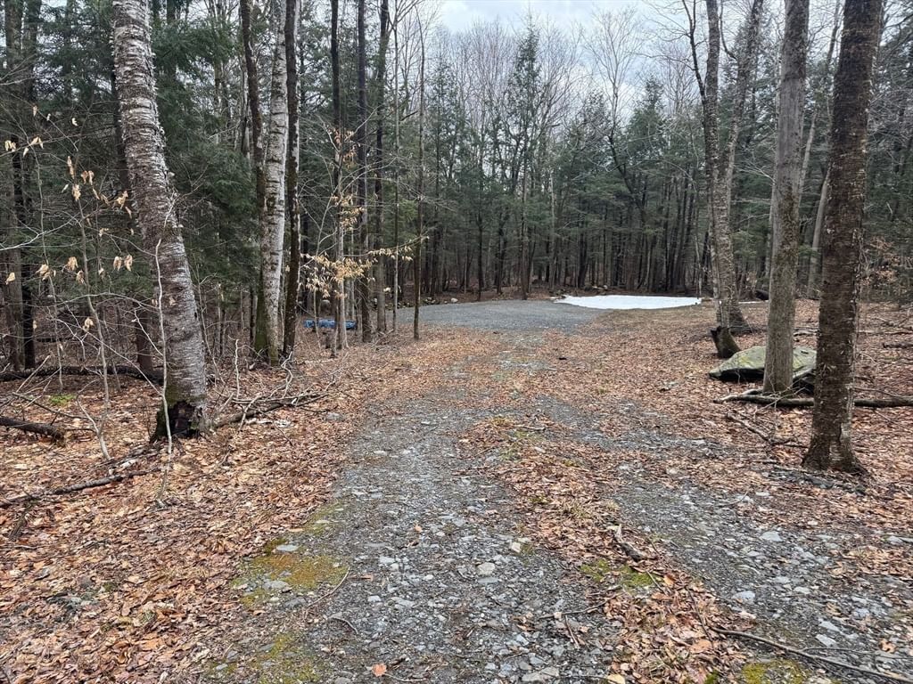 237 Trouble St, Cummington, MA 01026 photo 4