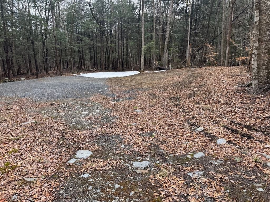 237 Trouble St, Cummington, MA 01026 photo 5