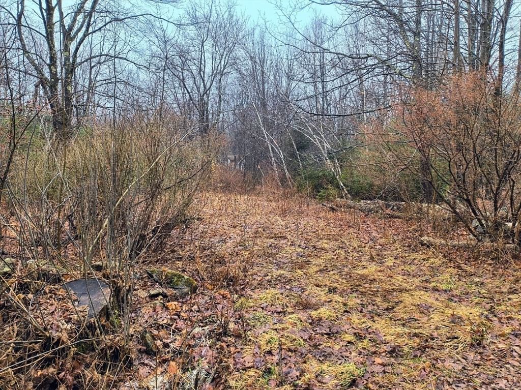 lot 94.2 Skyline Trail, Middlefield, MA 01243 photo 2