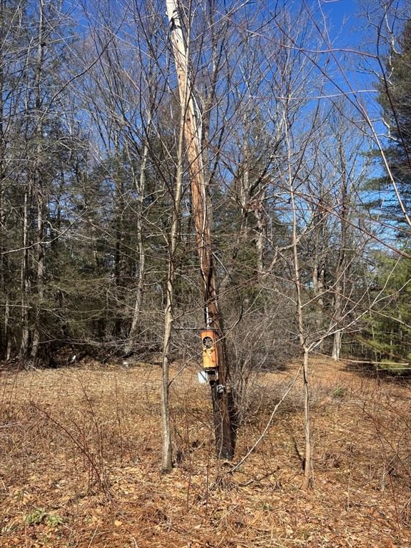 56 Bryant Rd, Cummington, MA 01026 photo 5
