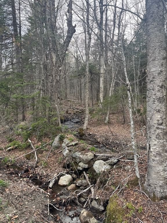 0 Cole St, Cummington, MA 01026 photo 4