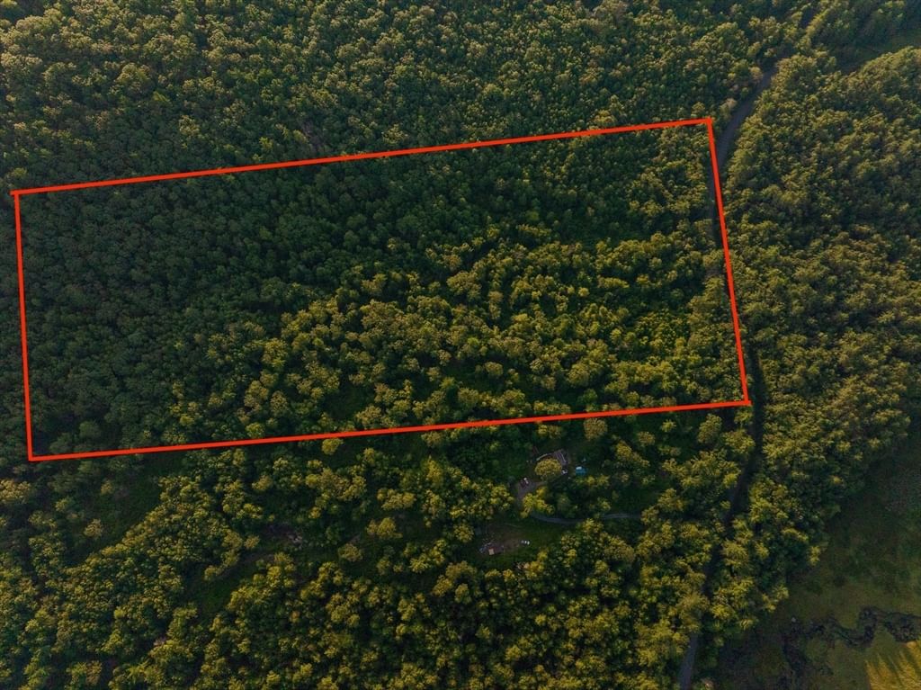 0 Northfield Rd, Warwick, MA 01364 photo 4