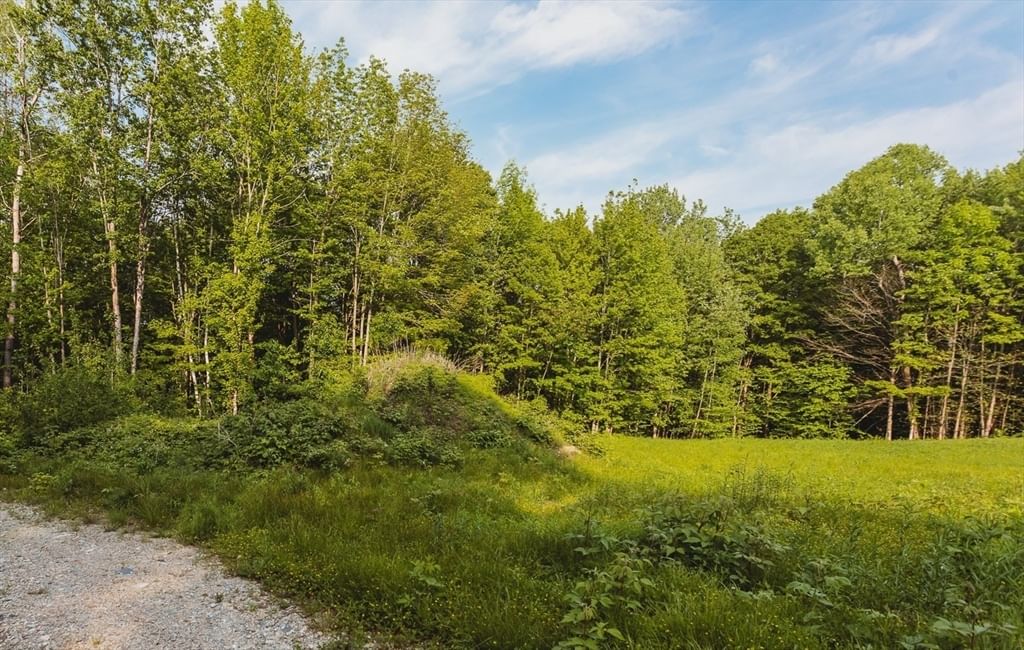 230 Wilson Hill Rd, Colrain, MA 01340 photo 5