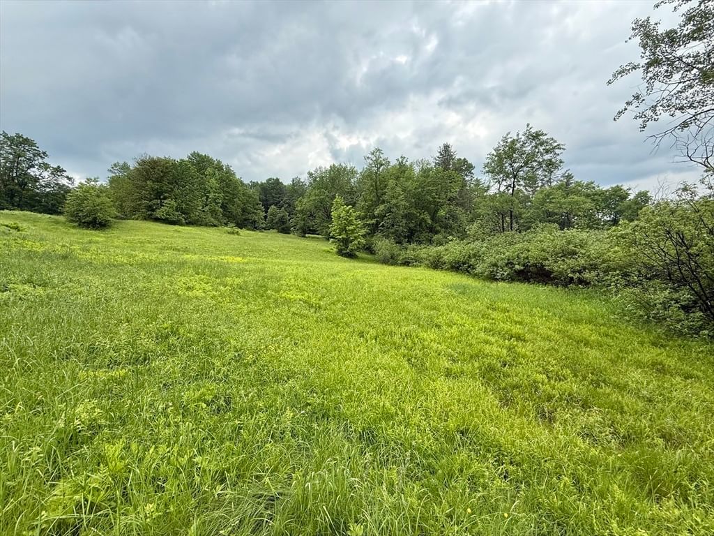 0 Stetson Rd, Hawley, MA 01339 photo 4