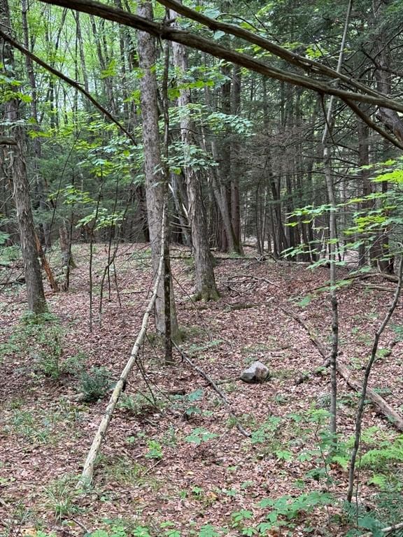 0 North Street, Whately, MA 01093 photo 2