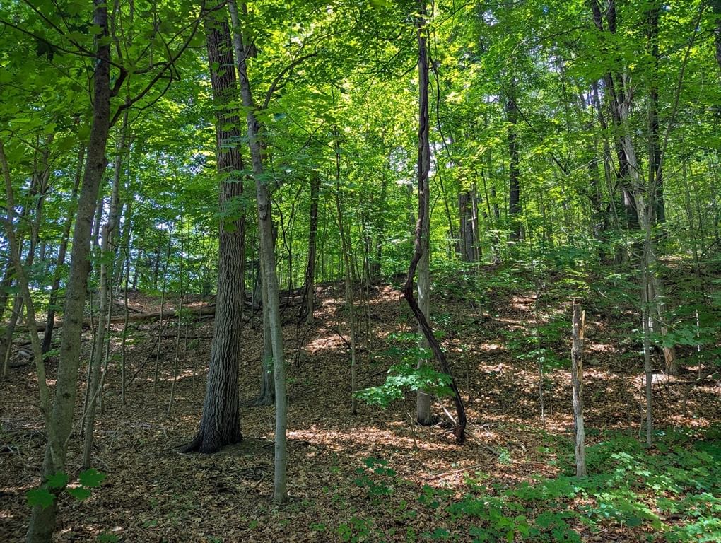 81 Pomeroy Ter, Russell, MA 01071 photo 5