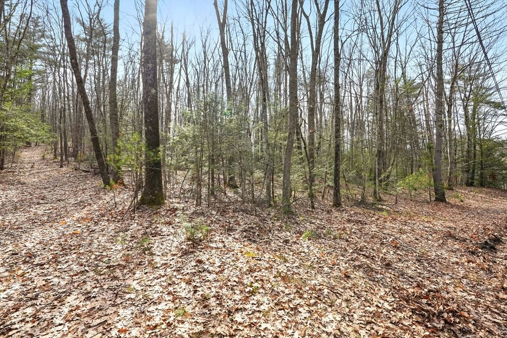 0 Atherton Road, Gill, MA 01376 photo 5
