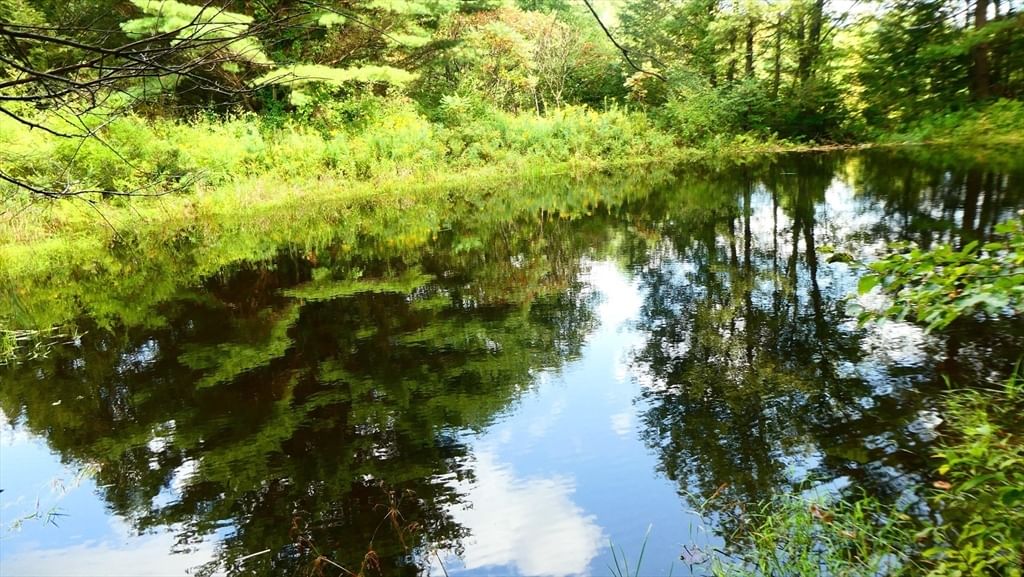 155 River Rd, Middlefield, MA 01098 photo 3