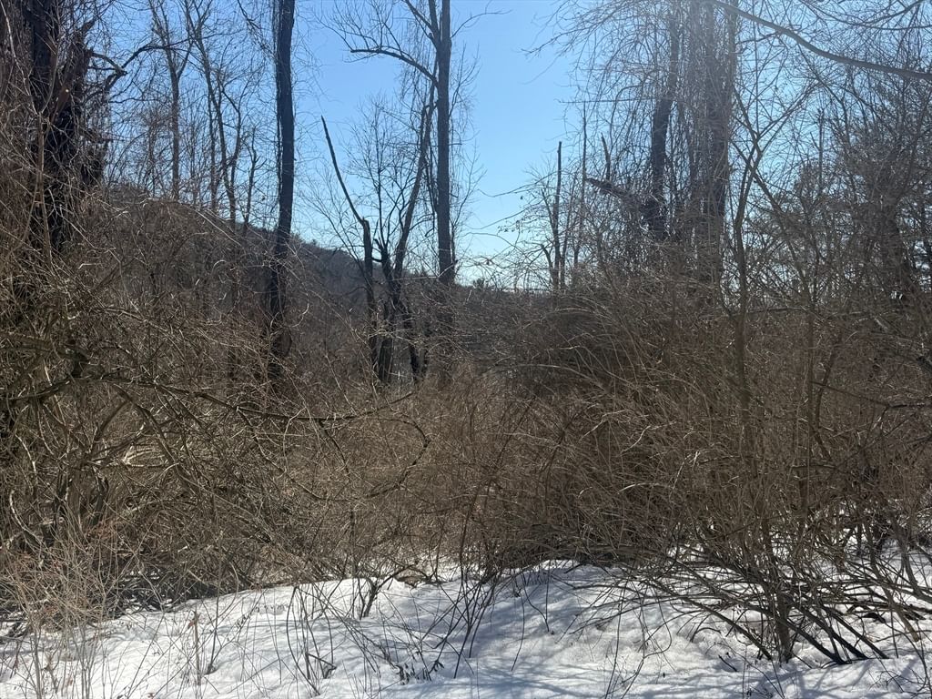 2 Spring St Hardwick — Photo 3 of 5