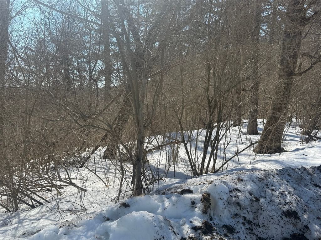2 Spring St Hardwick — Photo 4 of 5