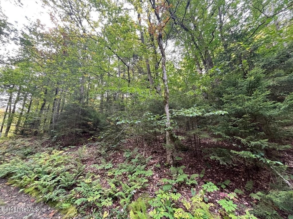 0 Manley Phelps Road, Monroe, MA 01350 photo 2