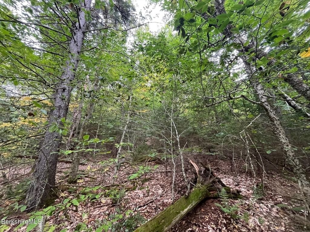 0 Manley Phelps Road, Monroe, MA 01350 photo 3
