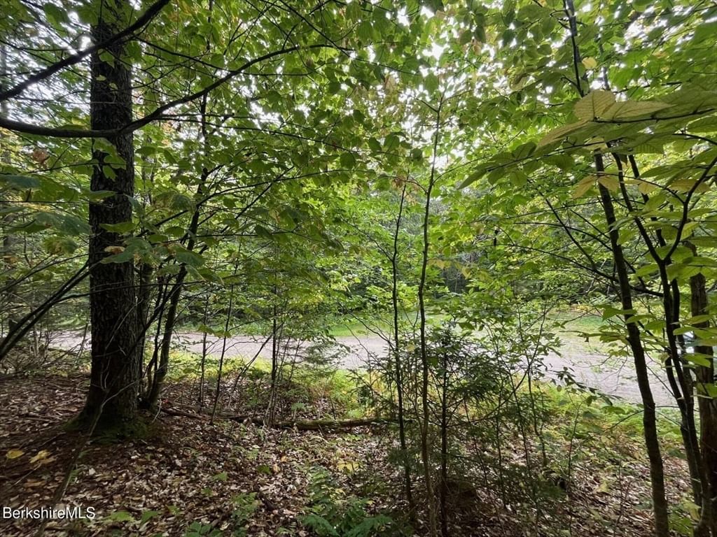 0 Manley Phelps Road, Monroe, MA 01350 photo 4