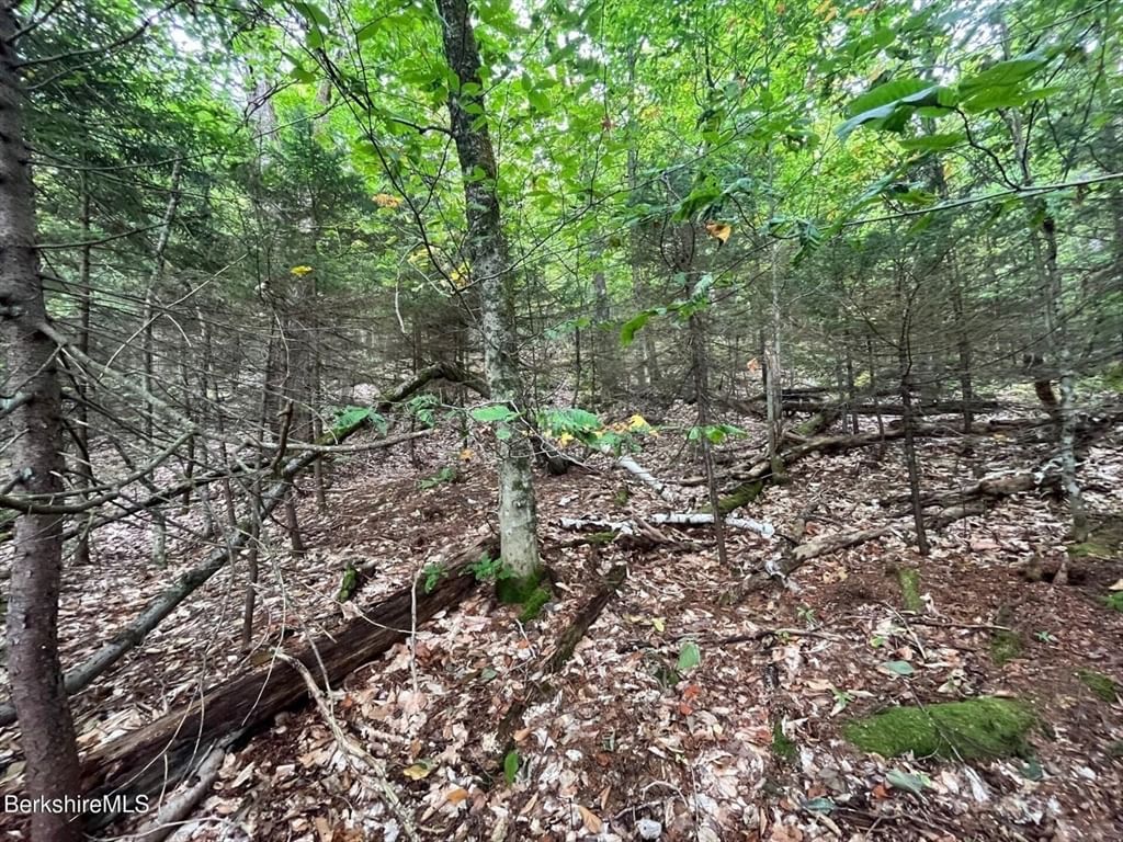 0 Manley Phelps Road, Monroe, MA 01350 photo 5