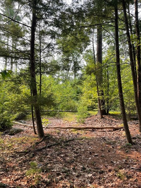 Back Lot 0 Petersham Rd, New Salem, MA 01355 photo 2