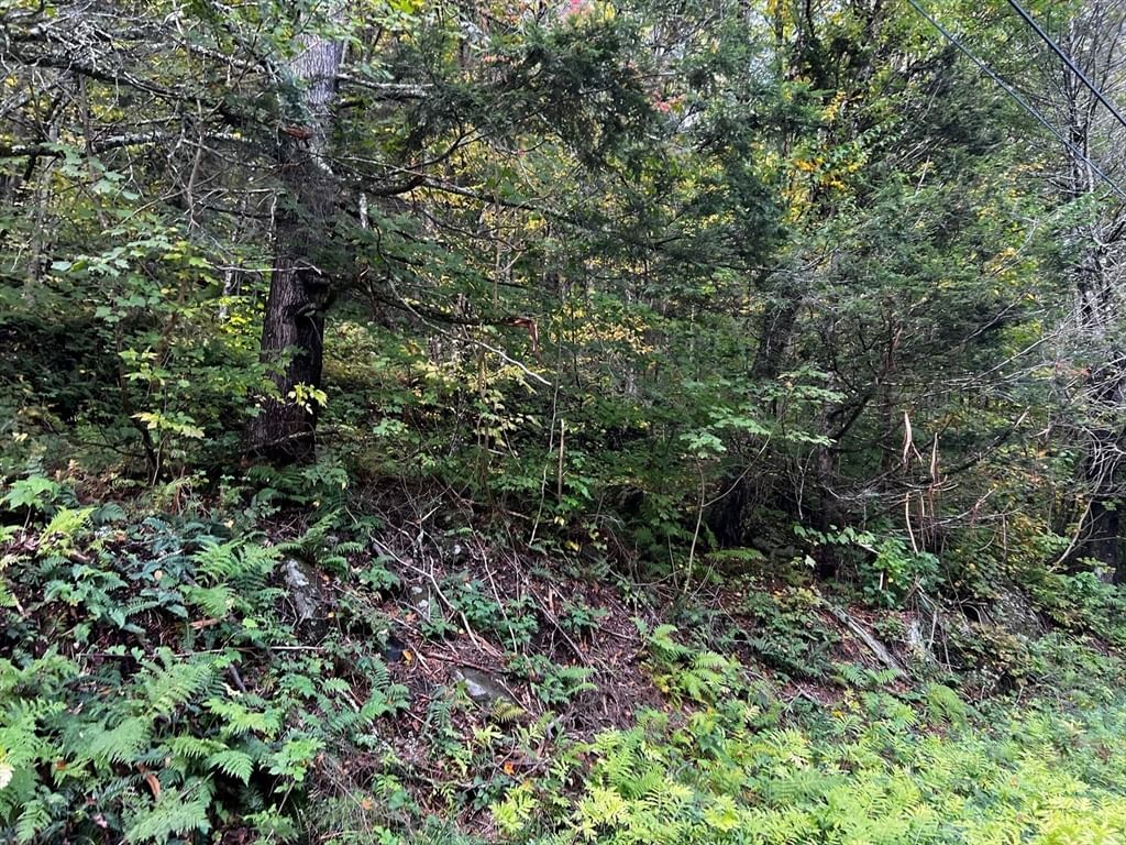 0 W Hawley Rd, Hawley, MA 01339 photo 3