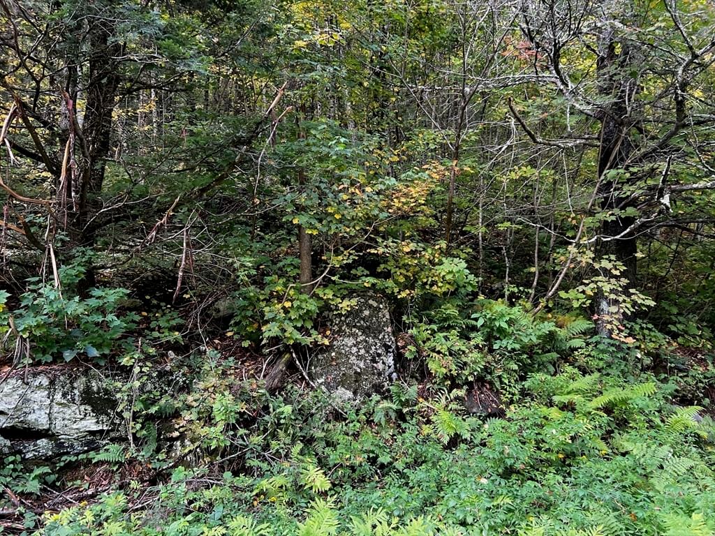 0 W Hawley Rd, Hawley, MA 01339 photo 4