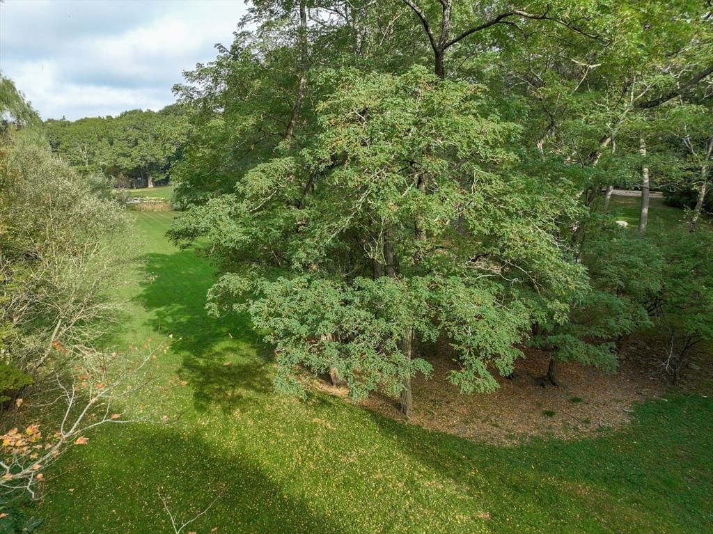 79 Goddard Avenue Brookline — Photo 10 of 25