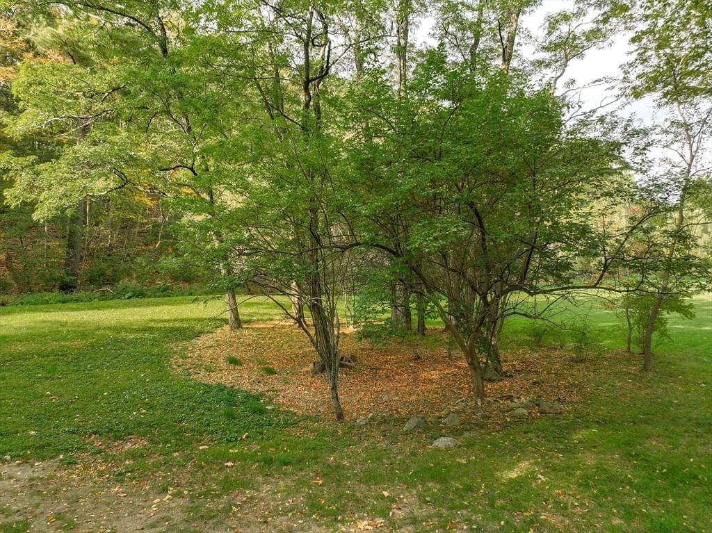 79 Goddard Avenue Brookline — Photo 11 of 25