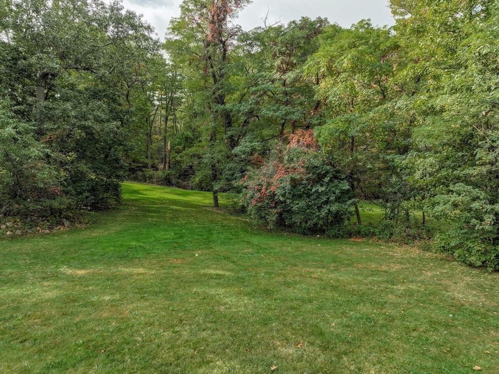 79 Goddard Avenue Brookline — Photo 14 of 25