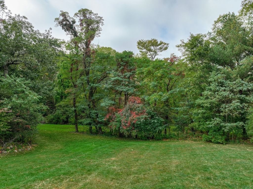79 Goddard Avenue Brookline — Photo 15 of 25