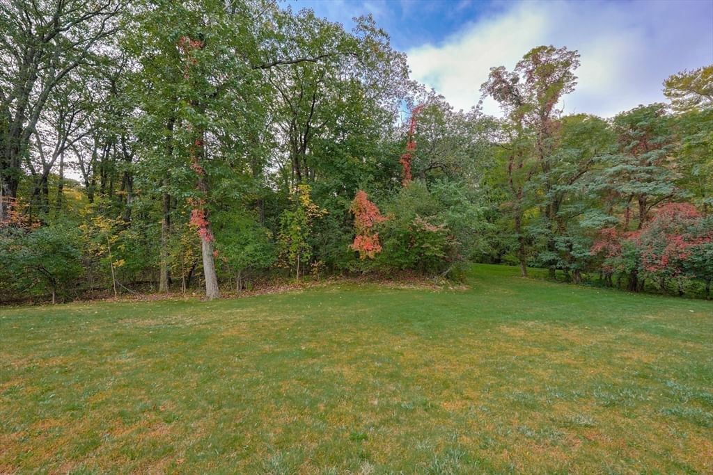 79 Goddard Avenue Brookline — Photo 17 of 25