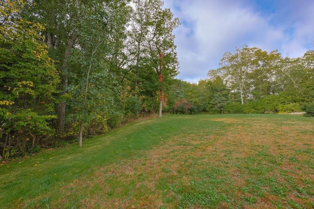 79 Goddard Avenue Brookline — Photo 18 of 25
