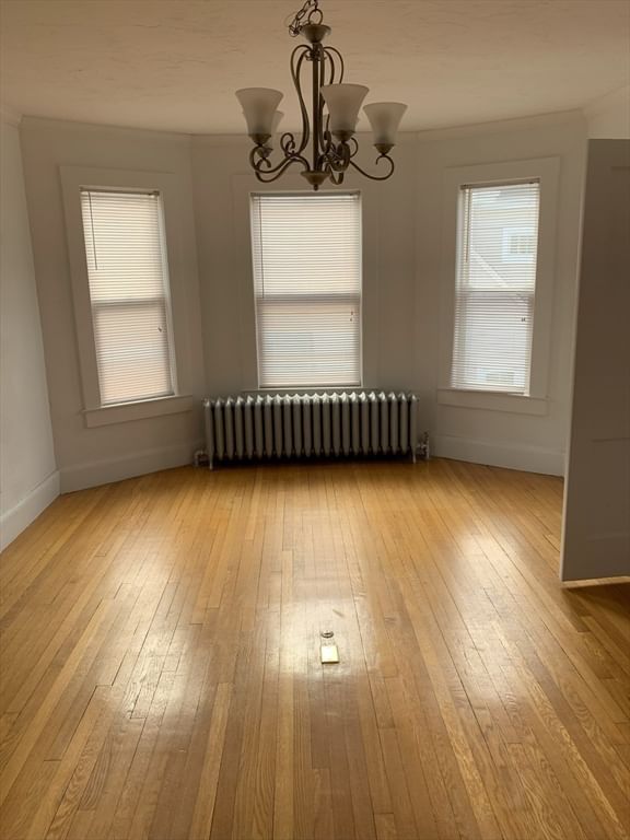 5-7 Abbott Street Wellesley — Photo 24 of 28