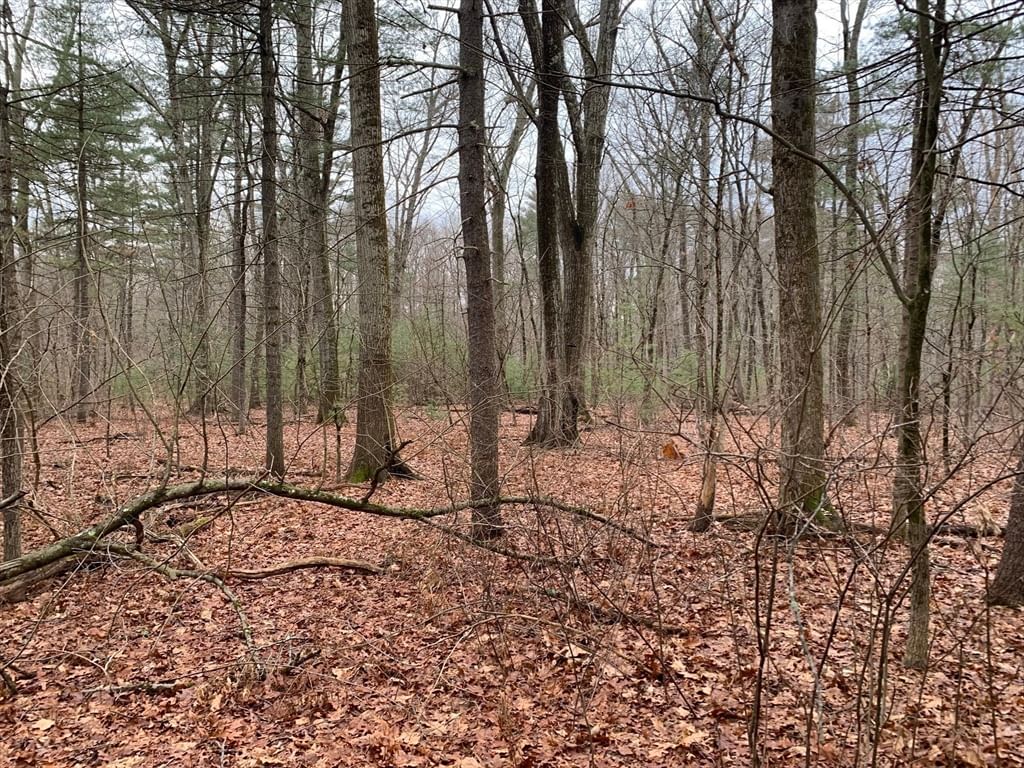 767 Stony Hill Rd Wilbraham — Photo 7 of 8