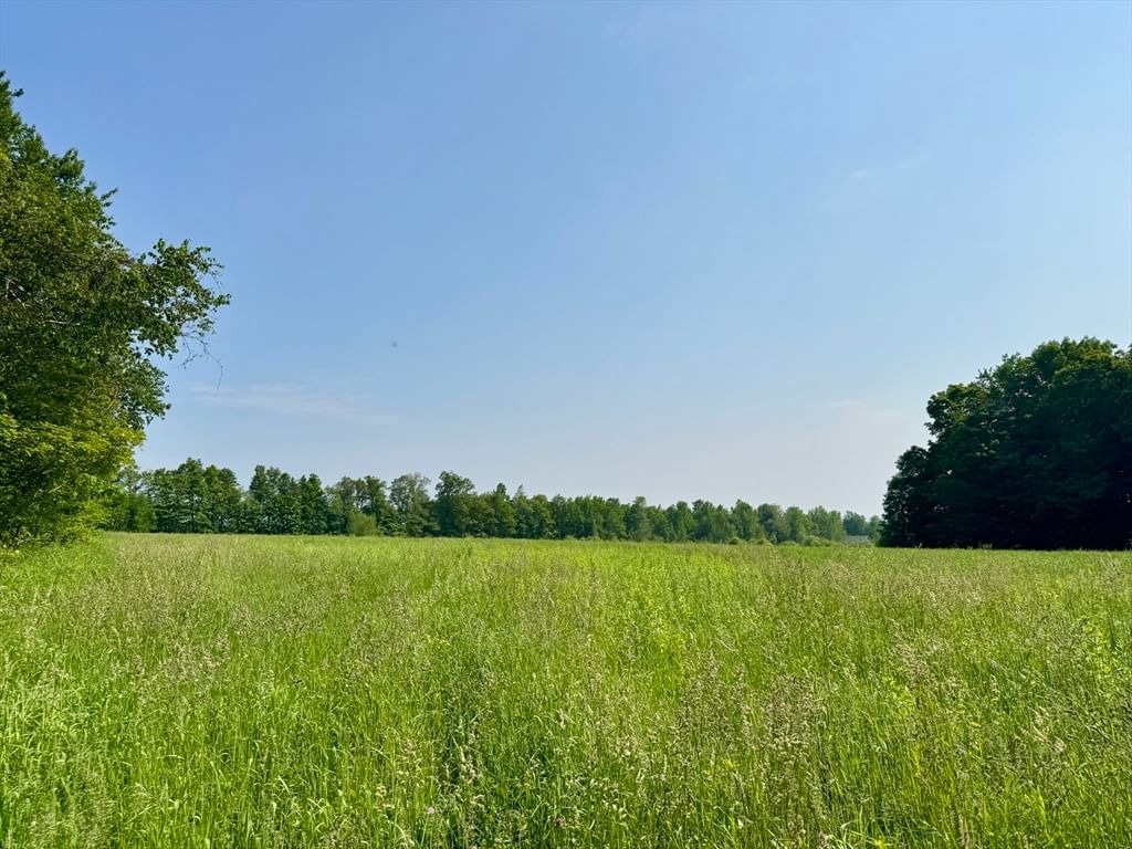 0 Hunt Road, Hawley, MA 01339 photo 3
